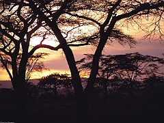 Daybreak, Tanzania, Africa